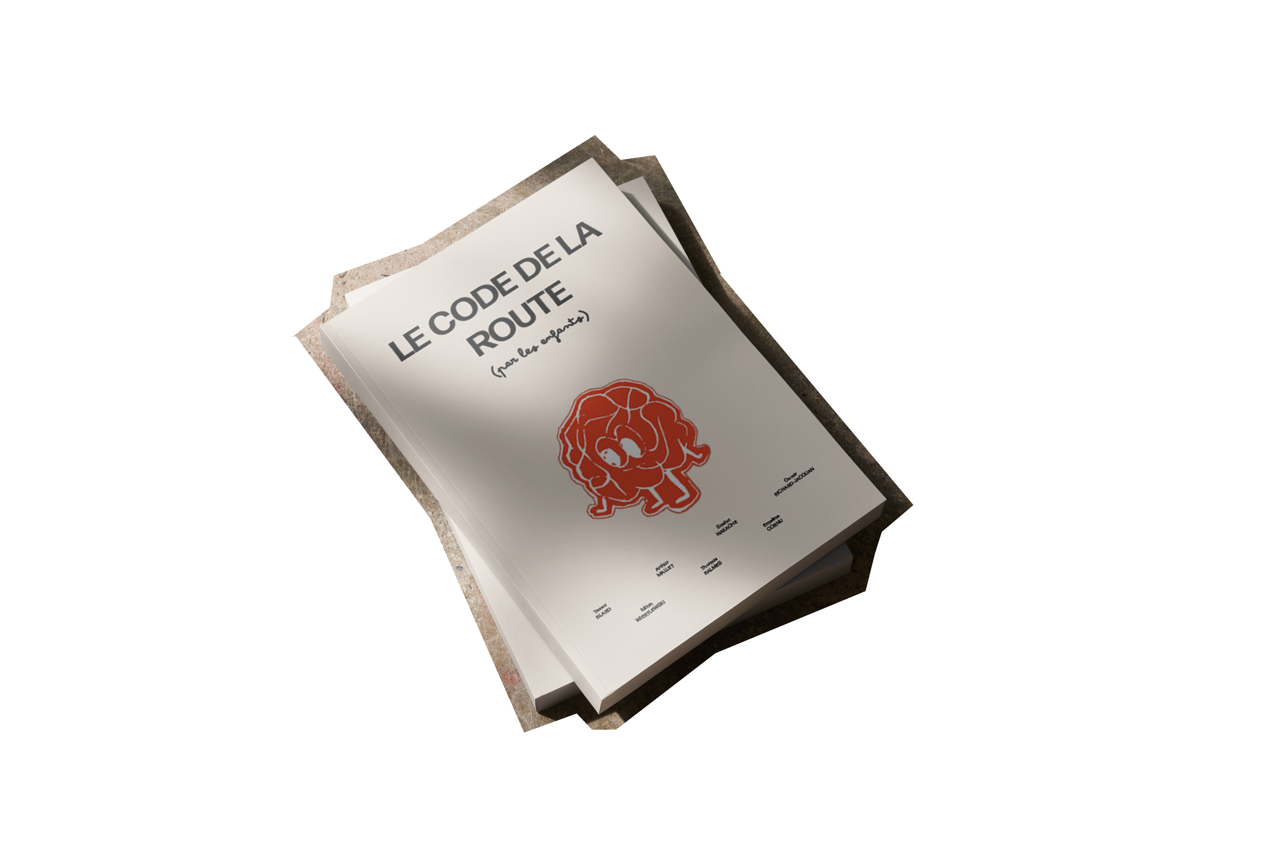 livre mockup 2